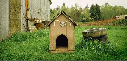 国产CRPG《动物迷城》 将登陆主机 好评动物越狱探险